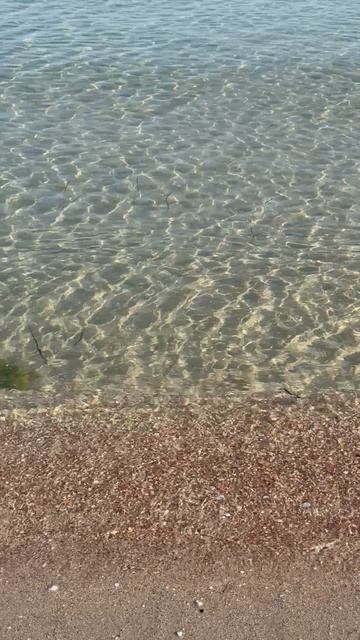 Черноморское! Вода +27. Сезон 2025 смотреть онлайн