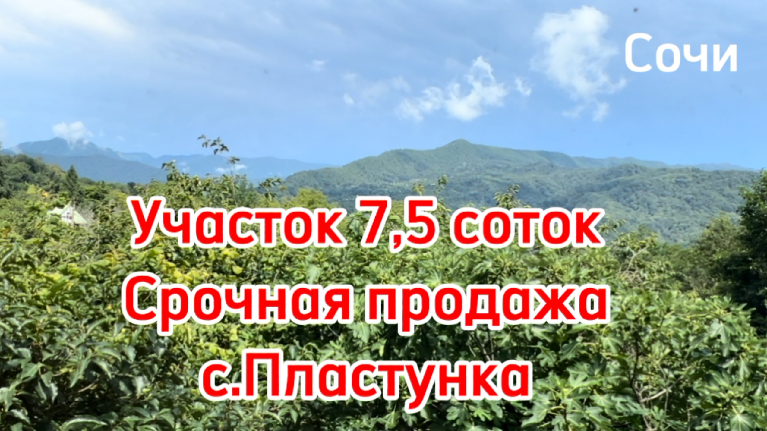 Срочная продажа участка в Сочи с видом на горы ! смотреть онлайн