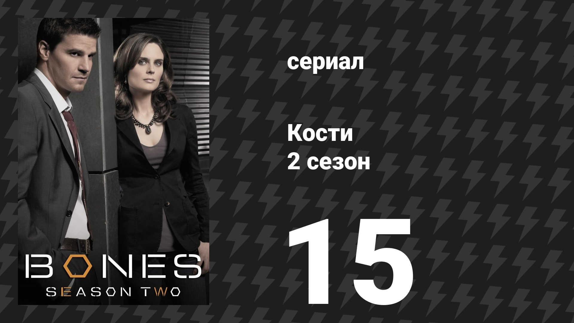 Кости 2 сезон 15 серия «Трупы из книги» (сериал, 2006) смотреть онлайн