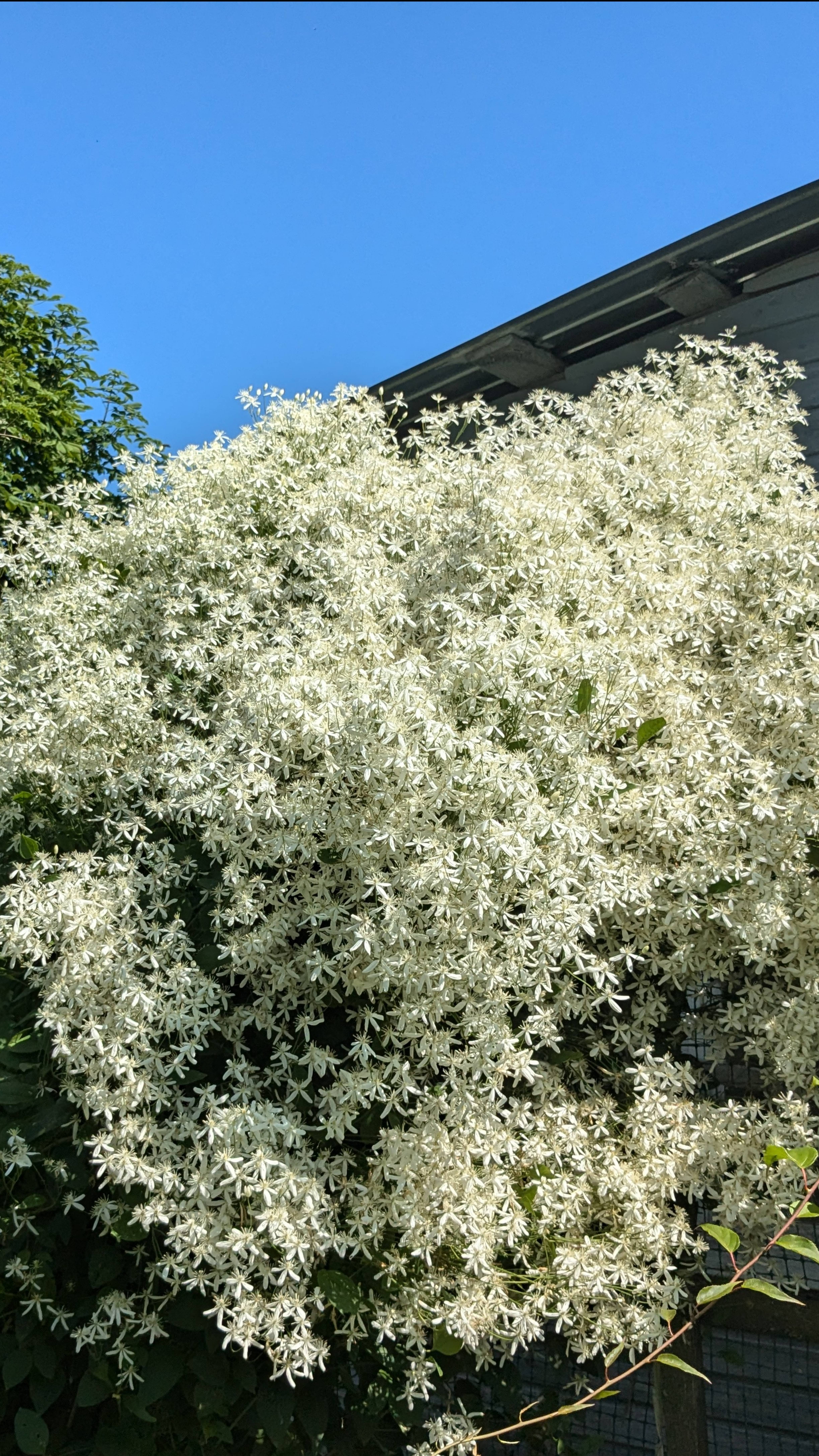 Прекрасно провели время у девчонок. Извиняюсь за предыдущее видео. смотреть онлайн