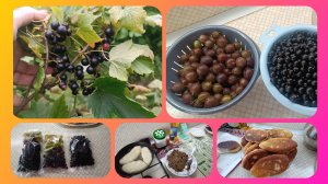 Сезон заготовок открыт 😊День выпечки🥧