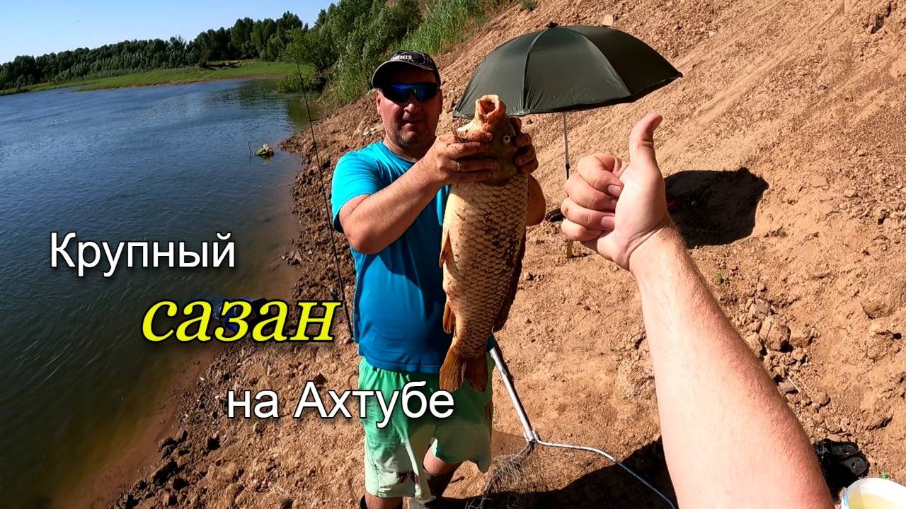 Ловля сазана в жаркий июльский день на реке Ахтуба. В улове крупный сазан весом 5100 смотреть онлайн