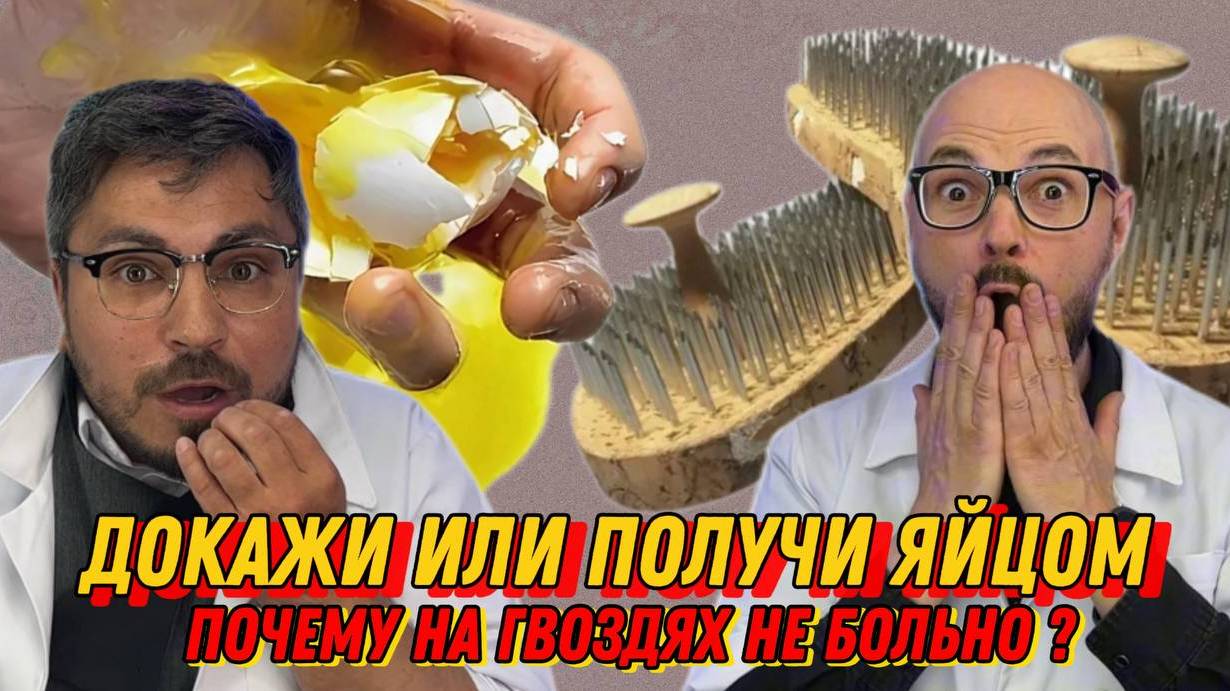 почему на гвоздях не больно? докажи или получи яйцом ! смотреть онлайн