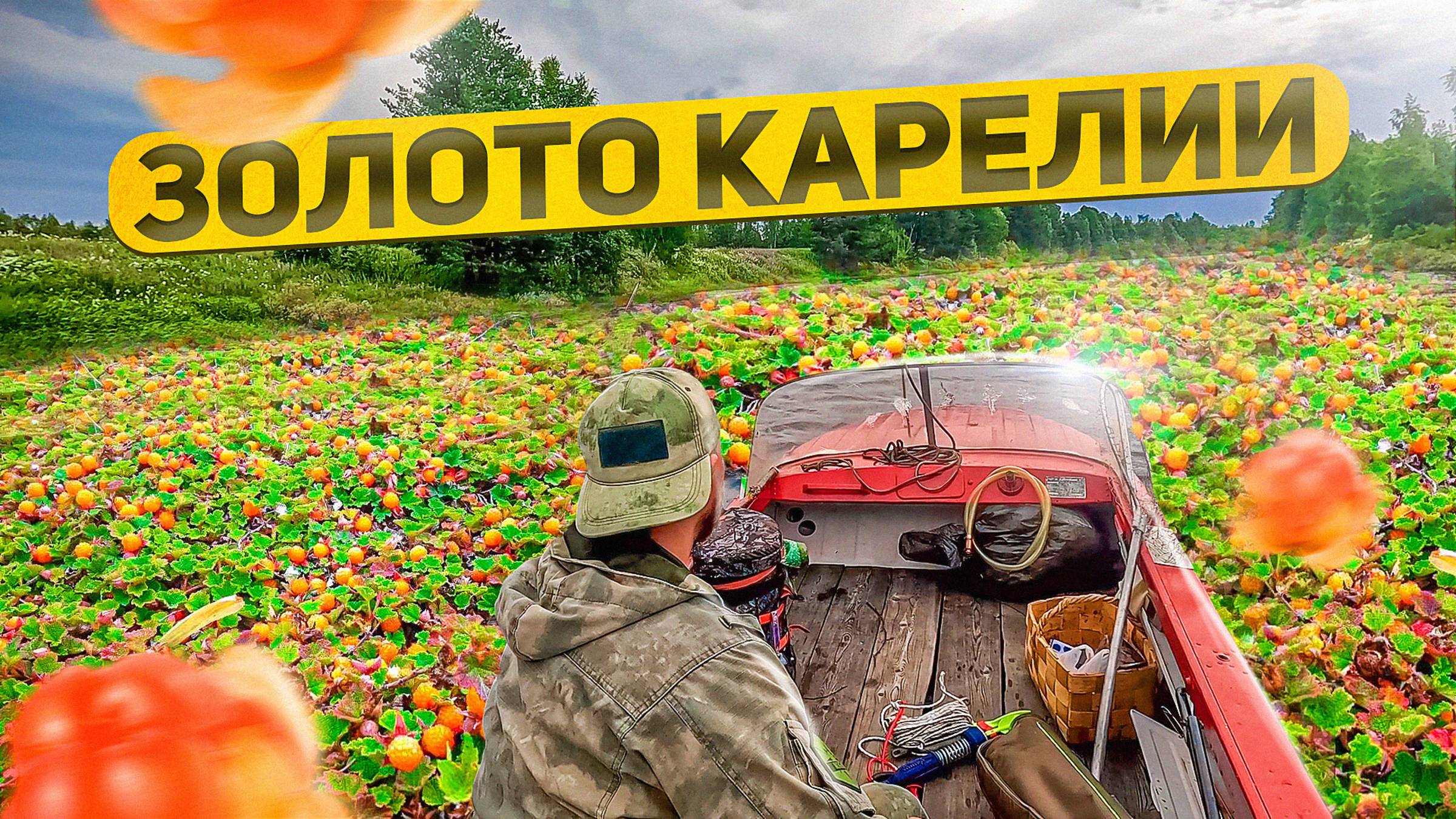 ЯГОДНЫЙ СЕЗОН. ДЕНЬГИ ИЗ ЛЕСА. ЗАРАБОТОК НА ЯГОДАХ. СБОР МОРОШКИ ДЛЯ ЗРИТЕЛЕЙ. смотреть онлайн