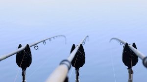 Рыбалка на сазана и разведка на новый спортивный водоём