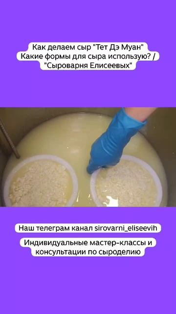Как делаем сыр "Тет Дэ Муан" Какие формы для сыра использую? / "Сыроварня Елисеевых" смотреть онлайн
