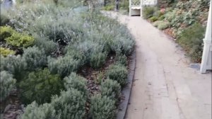 Гуляем по старой Алупке 👣