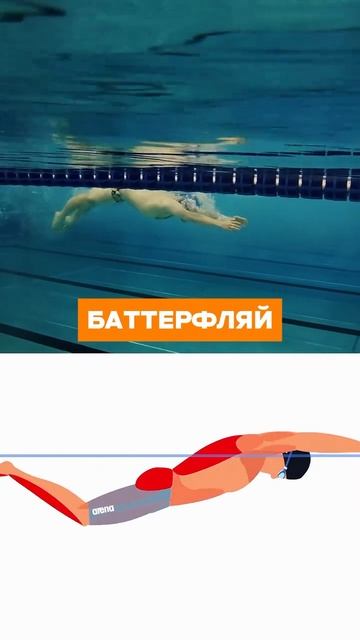 Работа мышц во всех 4-х стилях плавания🔥 смотреть онлайн