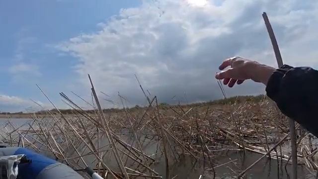 Ловля крупного карася и сазана на удочку с поплавком смотреть онлайн