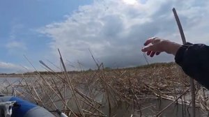 Ловля крупного карася и сазана на удочку с поплавком