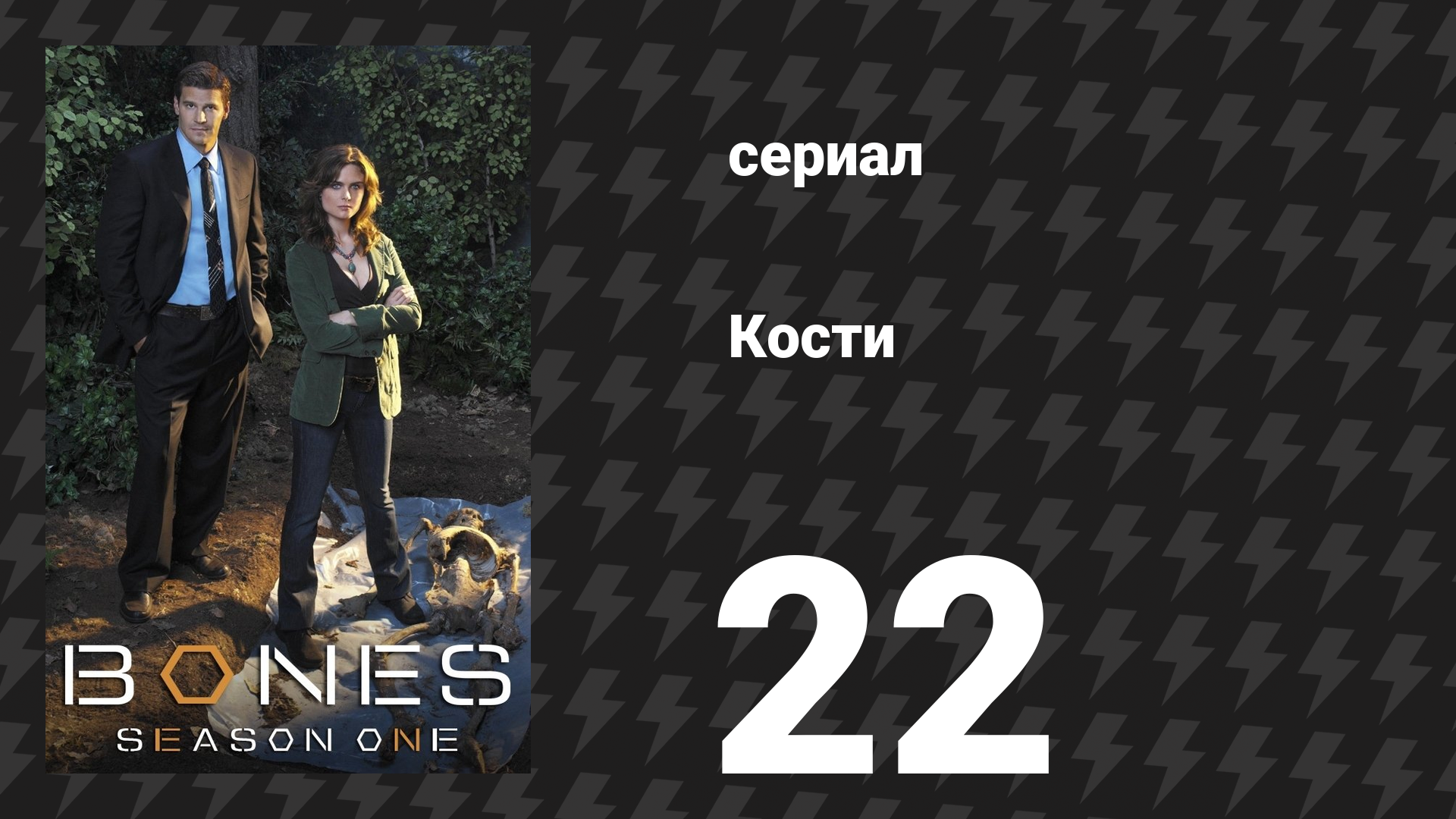 Кости 1 сезон 22 серия «Женщина в лимбе» (сериал, 2005) смотреть онлайн