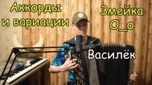 Основы обыгрывания мелодии аккордами и вариацией во всех тональностях. Василёк. Криповая змейка!