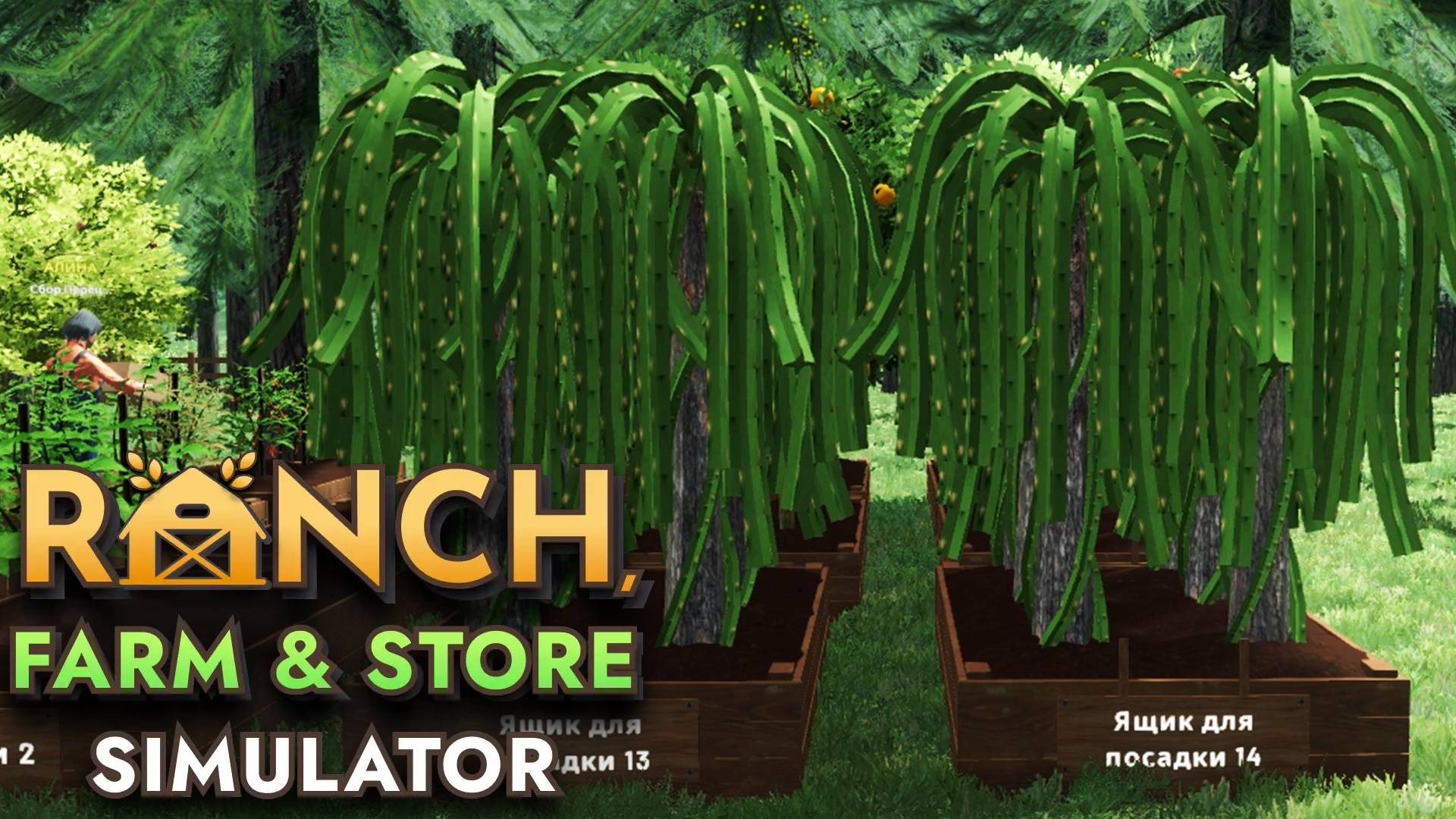 Питайя - Ranch Farm and Store Simulator #7 Прохождение смотреть онлайн