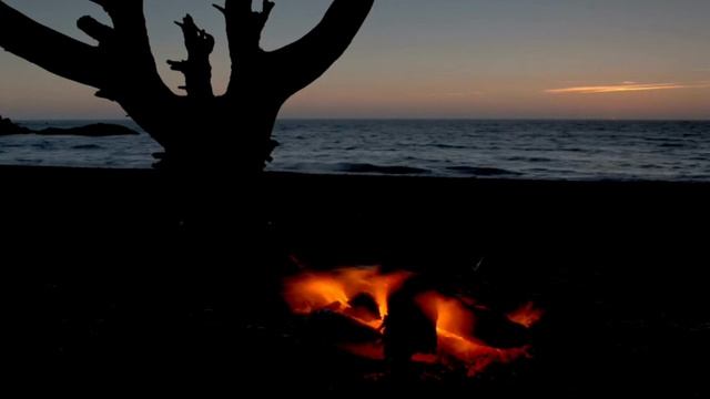 Сектор газа гуляй мужик смотреть онлайн