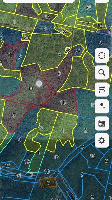 Нуримановское лесничество с делением на выдела и породы деревьев