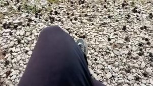 Мопеды сериал | Серия 929