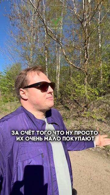 покупать или обождать #clinlicar #automobile #автоподборспб #автоподбормосква смотреть онлайн