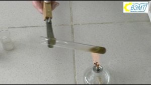 Лабораторная работа Углеводы