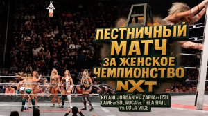 🏆ЛЕСТНИЧНЫЙ МАТЧ! Североамериканское чемпионство NXT! Stand & Deliver 2025