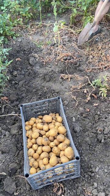 Моя #жизнь #жиза #личность #влог #этожизнь #повседневнаяжизнь #лайфстайл #мотивациянауспех