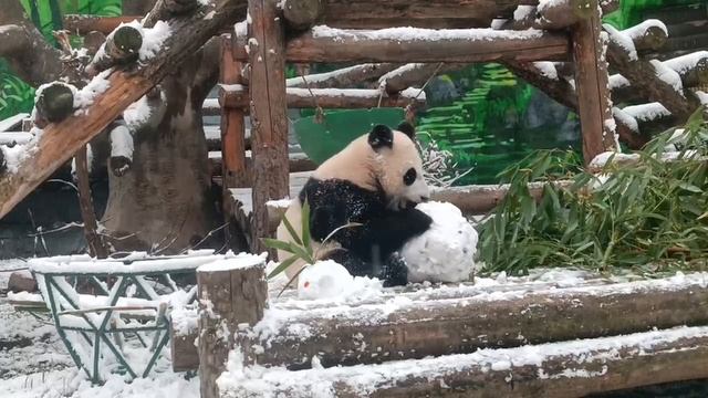 Катюха смотреть онлайн