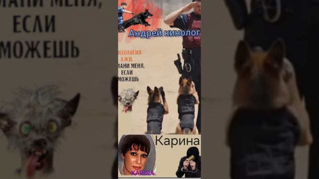 Лучшие КАЛцентры у Днэпре смотреть онлайн