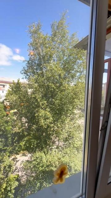 дворцовая смотреть онлайн