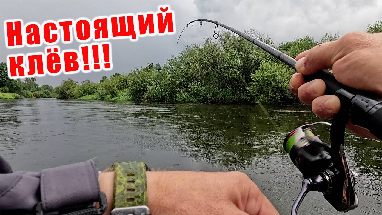 КЛЁВ КАК ИЗ ПУЛЕМЁТА!!! ТЕСТ НОВОГО КОМПЛЕКТА ДЛЯ ЗАБРОДНОЙ РЫБАЛКИ!!! Redbor и Ronin Rush!!! смотреть онлайн