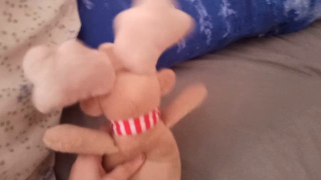 Penguin №5 No Snowfall