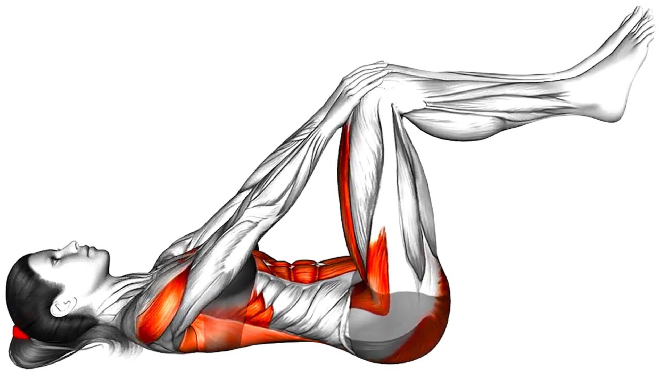 Тренировки на растяжку и подвижность всего тела