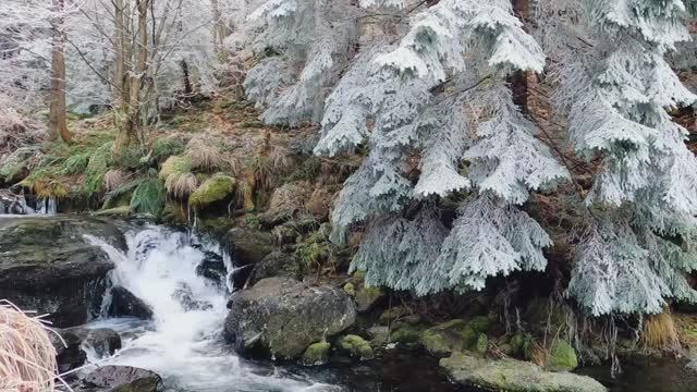 Мой мир смотреть онлайн