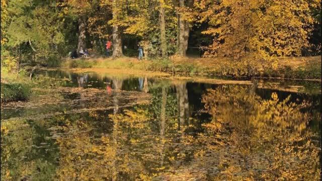 Золотая осень смотреть онлайн