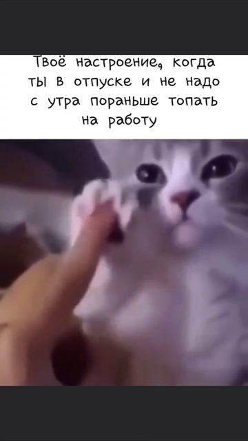 Отпуск смотреть онлайн