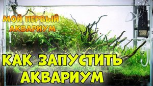 КАК ПРАВИЛЬНО ЗАПУСТИТЬ АКВАРИУМ - аквариумистика