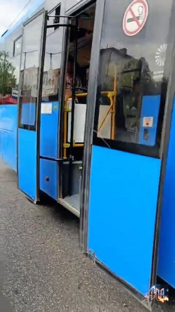 Кухонный боец, когда видит, что за рулём автобуса девушка. #Боевая_чесотка смотреть онлайн