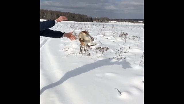 Тяжело когда уходят друзья. Томаш Доминго Мега Стар. Ты был классным другом. Прощай бро.