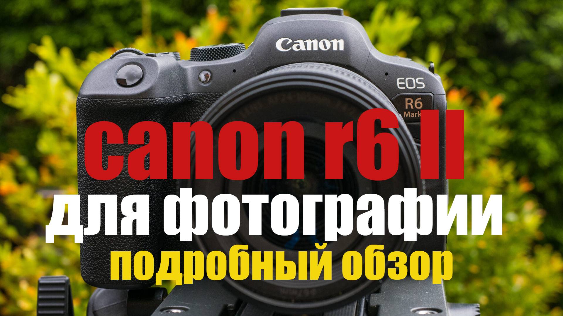 Canon EOS R6 II для фотографии подробный обзор и сравнение с SONY A7 IV и Panasonic S5 II смотреть онлайн