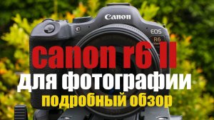Canon EOS R6 II для фотографии подробный обзор и сравнение с SONY A7 IV и Panasonic S5 II