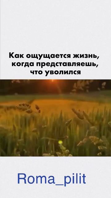 #жиза #работа смотреть онлайн