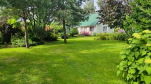 Часть 3. В саду. Ленинградская область.