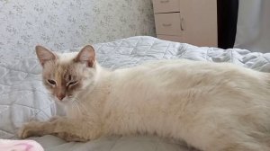 ЖИЗНЬ В ДЕРЕВНЕ/ВИДЕО ПРИВЕТ