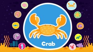 05. Learn Sea Animals Flashсards