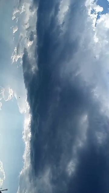 река Шилка смотреть онлайн