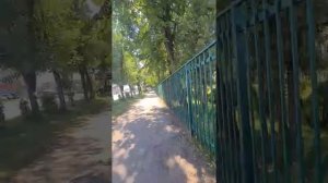 Жизнь подкидывает новые правила... часть 2 (видео от 19 июля)