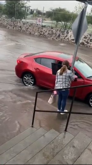 Полезный навык во время ливня