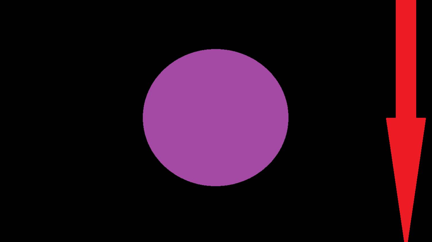 Восемь цветов РАДУГИ. Восемь НОТ ОКТАВЫ. 8 ударов сердца!! Приятное воспоминание для ПРОЗРЕНИЯ! смотреть онлайн