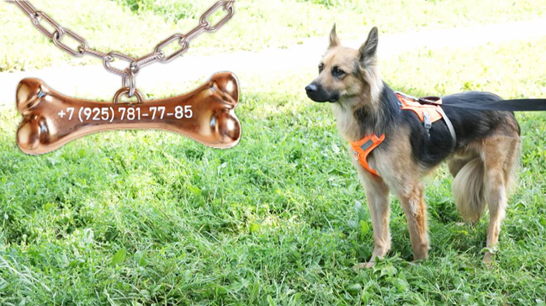 Вдумчивый Рэм