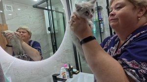 С какого веса я начала худеть и какой результат сейчас. Парни на даче занимаются делами.