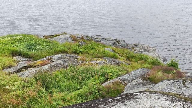 Навигатор не туда. 2 серия. СОРТАВАЛА