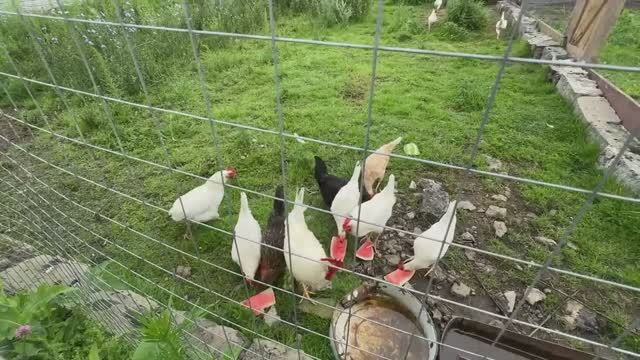 Усиливаем стены в новом доме. Наводим порядок на террасе. Стройка продолжается. Жизнь в деревне. смотреть онлайн